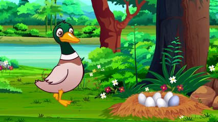 The Ugly Duckling _ Fairy Tales _ Gigglebox