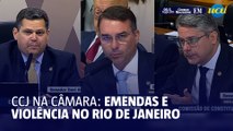 CCJ discute pagamento de emendas e violência no Rio de Janeiro