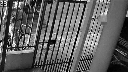 ext-incidente-cartago-301024