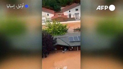 إنقاذ إمرأة وكلبها من الفيضانات في إسبانيا