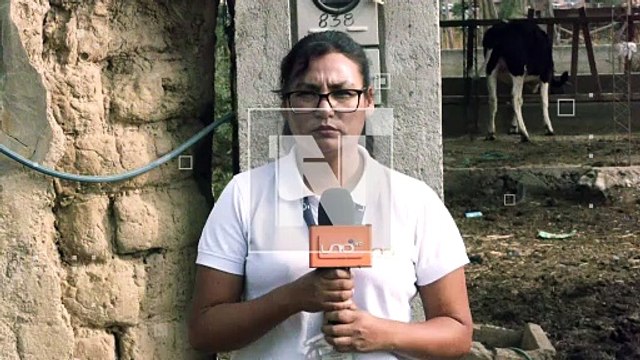 ¡Las vacas no entienden de bloqueos! Productores lecheros están emergencia