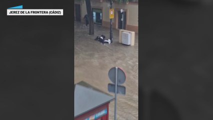 Las inundaciones por la dana en las calles de Jerez