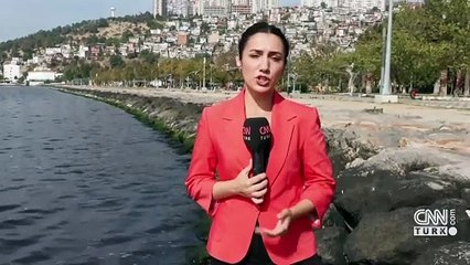 İzmir Körfezi can çekişiyor