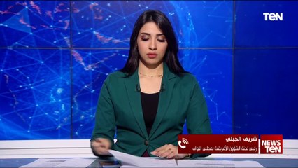 رئيس لجنة الشئون الأفريقية بمجلس النواب يتحدث عن أهمية تنمية العلاقات بين مصر والدول الأفريقية