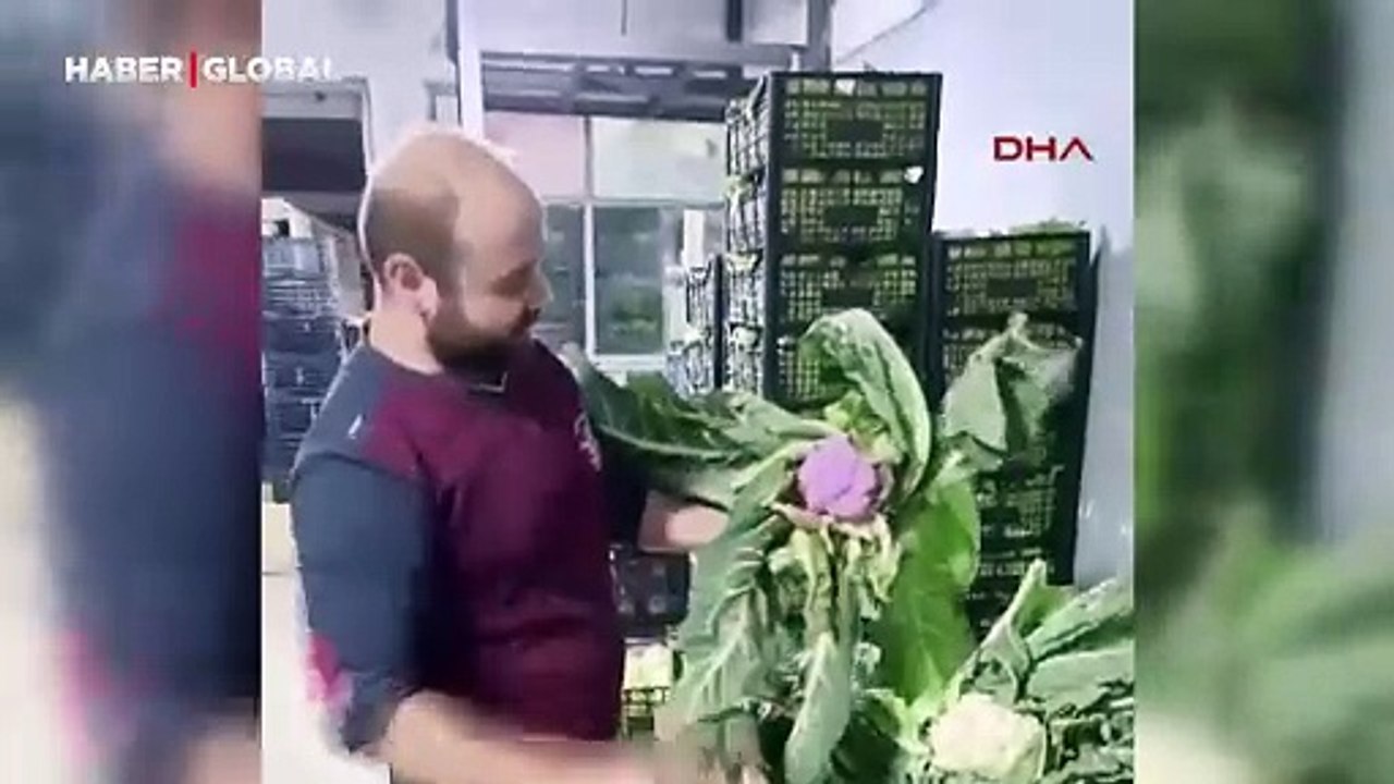 Hale gelen meyve-sebze arasında dikkat çeken ürün: Besin değeri oldukça yüksek