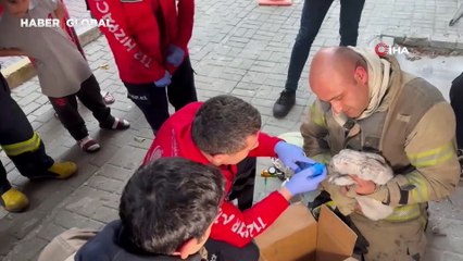 Yangında mahsur kalan evcil tavşan için seferberlik