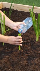 Unlock These Genius Garden Hacks for Astonishing Results! ✨