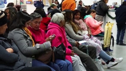 Hidratación y repelente, la clave para evitar signos de alarma en pacientes con dengue