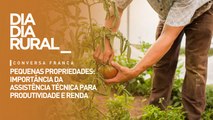 Pequenas propriedades: importância da assistência técnica para produtividade e renda