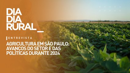 Agricultura em São Paulo: avanços do setor e das políticas durante 2024