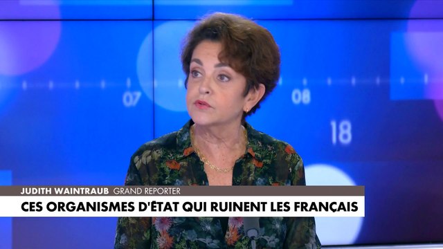 Judith Waintraub : «La branche des sciences humaines et sociales du CNRS est la plus idéologisée»