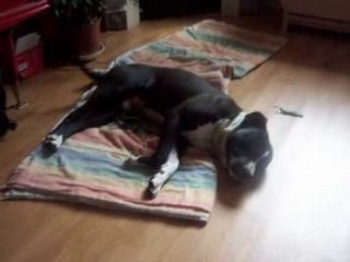 Domination, Hierarchie... Oué c'est çà