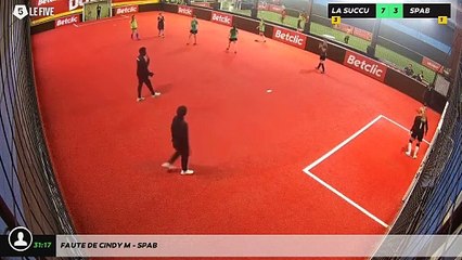 Faute de Cindy M - Spab