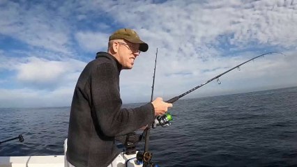 Halibut Catch & Cook - Catching Halibut with Light Tackle (+1,000,000 flounders!)