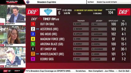 Turf Sprint Showdown: Aesterius, Big Mojo, and Magnum Force