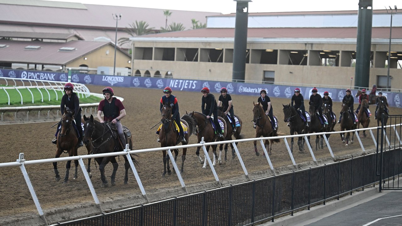 Governor Sam: Speed Analysis for the Breeders' Cup