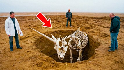 The Myth of Unicorns Debunked: They Actually Existed