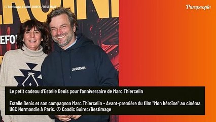 Estelle Denis toujours aussi amoureuse de Marc Thiercelin : elle affiche leur complicité pour une occasion spéciale