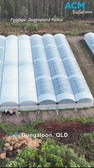 Men face deportation over $30 million cannabis farm