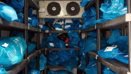 Still Stares | movie | 2024 | Official Trailer