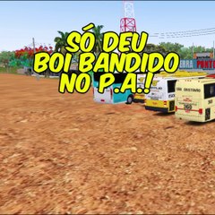 SÓ DEU BOI BANDIDO NO P.A.! - OMSI 2