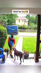 Funny Animal Videos - Funniest Kittens - Cats And Dogs Videos 2024