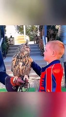 Funny Animal Videos - Angry cats videos - Funny Animals