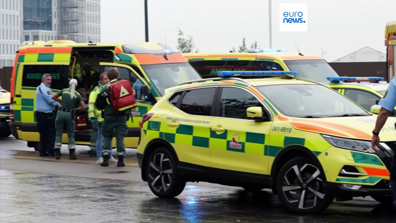 Swedish Prime Minister meets with Danish counterpart to discuss ways to tackle gang crime