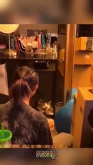 Funny Animal Videos - Unusual Memes Compilation 2024