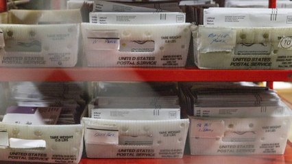 Así funciona el colegio electoral encargado de escoger al presidente de Estados Unidos