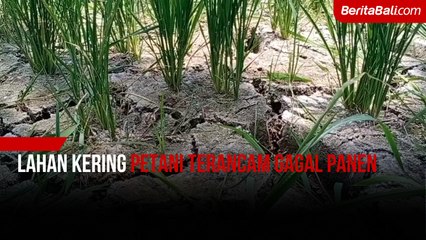 Lahan Kering Petani Terancam Gagal Panen