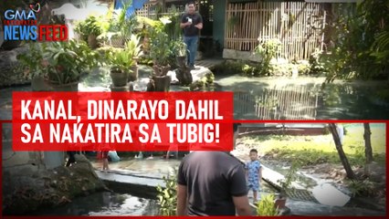 Kanal, dinarayo dahil sa nakatira sa tubig! | GMA Integrated Newsfeed