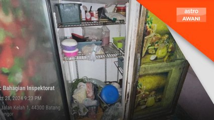 Ops Suci: Lipas, jentik-jentik ditemui dalam premis makanan di Batang Kali