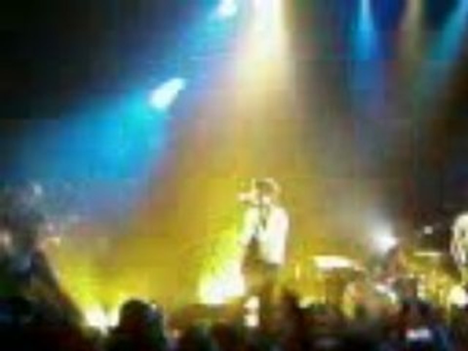 BB brunes