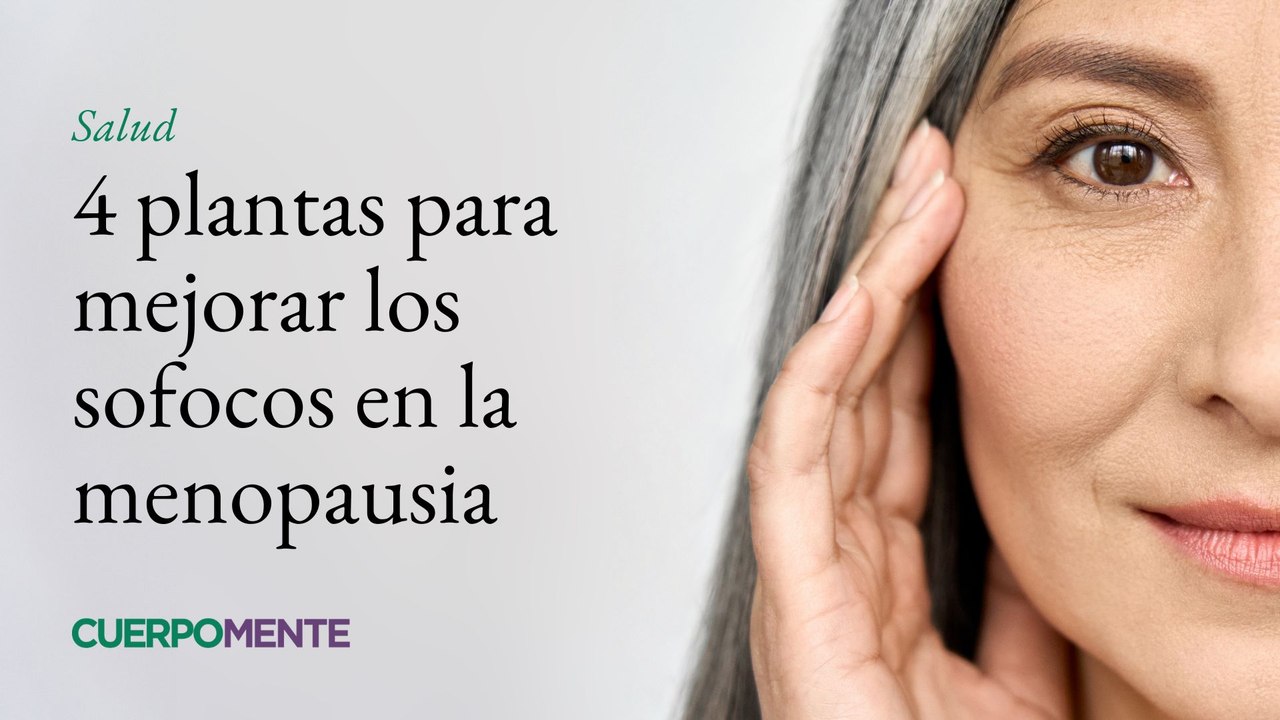 Plantas para los sofocos de la menopausia