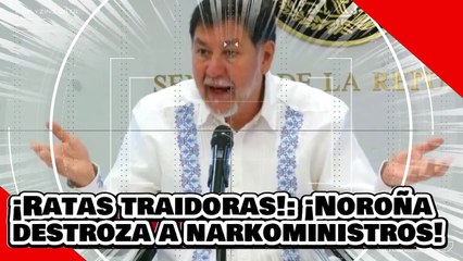 ¡Ratas traidoras! ¡Noroña despedaza a narkoministros por su intentona de tumbar la ley judicial!