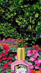 Flora Gorgeous Gardenia Gucci