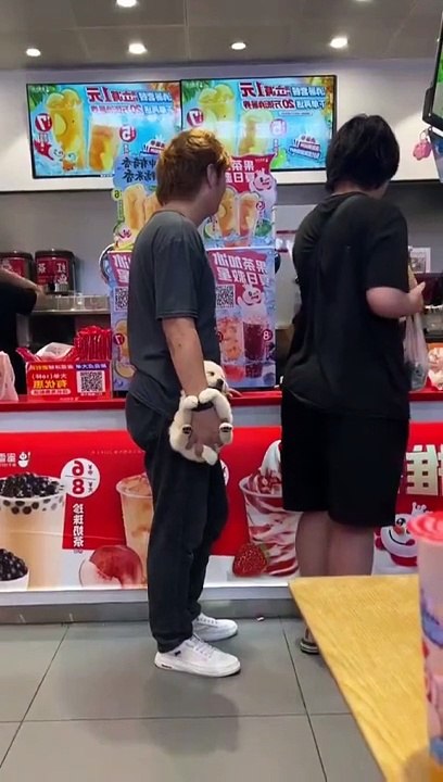 Dog