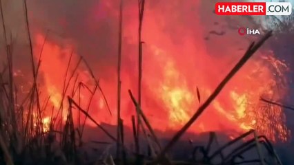 Eber Gölü'nde Yangın: Kirpi ve Kaplumbağa Kaçarken Kameraya Yansıdı