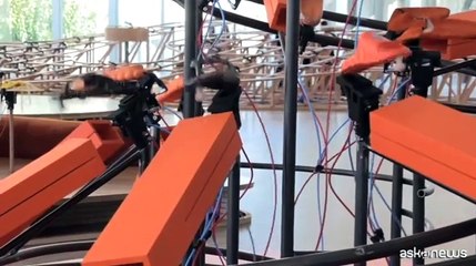 Tra il carino e lo spaventoso: Meriem Bennani in Fondazione Prada