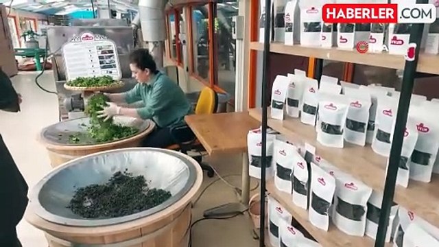 ÇAYKUR'un Mini Fabrikası, Yerli ve Yabancı Turistlerin İlgisini Çekiyor