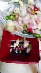 20241031_123841011.mp4_play_US