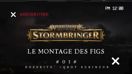 01 - AOS - StormBringer - Coll. Hachette - Le Montage des Figs : Bosskitu - NTGN [FR]