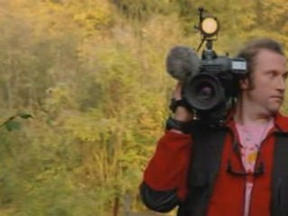 Saule - C'est trop tôt pour se dire qu'il est trop tard