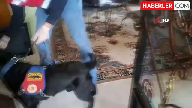 Sinop'ta Silah Kaçakçılığı Operasyonu: 2 Mavzer Tüfeği Ele Geçirildi