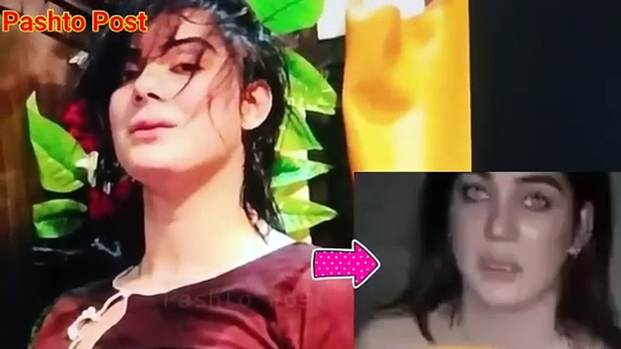 Viral Video of Dolphin Ayan 2024 The Original Clip Trending on Twitter Video Dailymotion