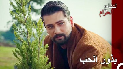 زرع زينب وعلي هان شتلة - التفاح الحرام الحلقة ال1 (Arabic Dubbed)