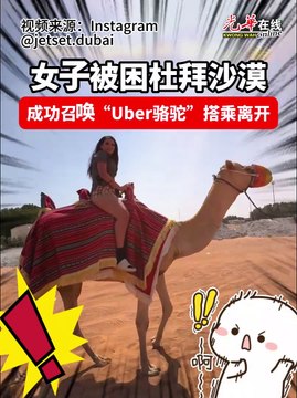 女子被困杜拜沙漠 成功召唤“Uber骆驼”搭乘离开