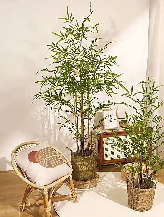 Thanh lý cây tre giả bảo hành 12 tháng, kích thước đa dạng, chất lượng đảm bảo, bảo hành 12 tháng | Liên hệ ngay