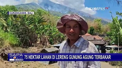 Sejumlah Titik Api Bakar 75 Hektare Hutan Lindung di Lereng Gunung Agung Bali!